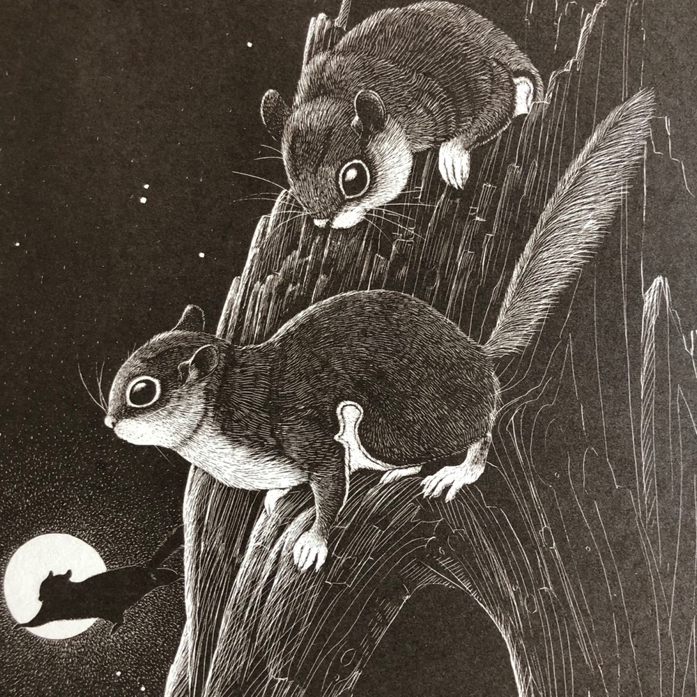 Small Original Art- Flying Squirrels- 1975